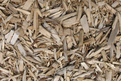 biomass boilers Sheepy Magna